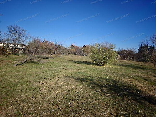 Őrbottyán 3. képe