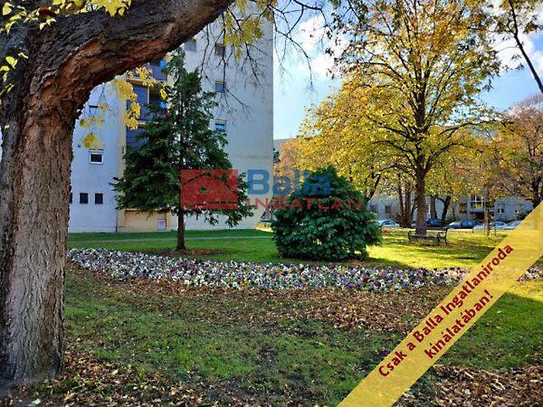 Dési Huber, Budapest, IX. kerület képe