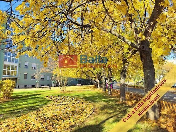 Dési Huber, Budapest, IX. kerület 3. képe