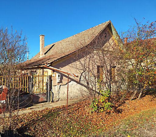 Rózsa, Maroslele képe