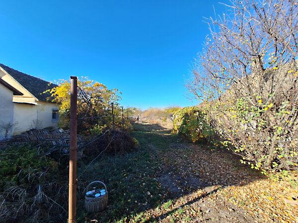 Rózsa, Maroslele 3. képe