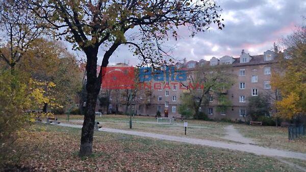 Gábor Áron, Dunaújváros 2. képe