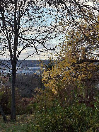 Naphegy, Budaörs 2. képe