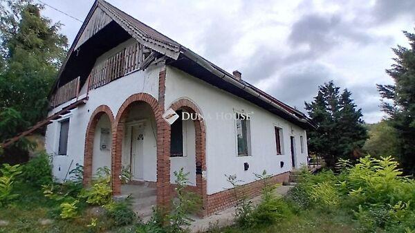 Kossuth Lajos, Tinnye képe