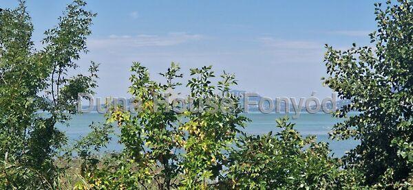 Balatonfenyves képe