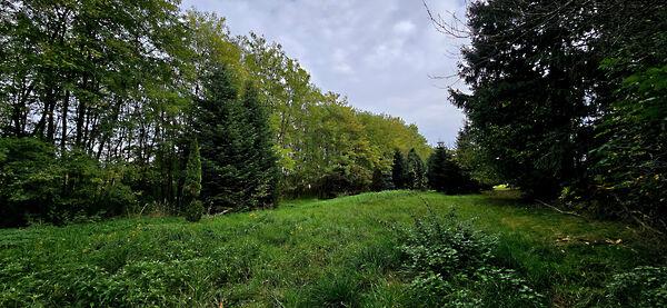 Felsőmarác 3. képe