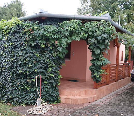 Hajdúszoboszló képe