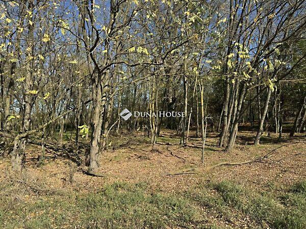 Nagyhegy, Harkány képe