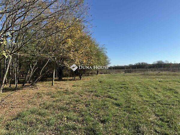 Nagyhegy, Harkány 2. képe