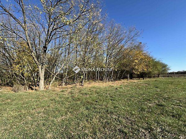 Nagyhegy, Harkány 3. képe