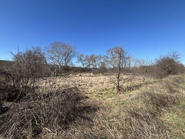 Andornaktálya 3. képe