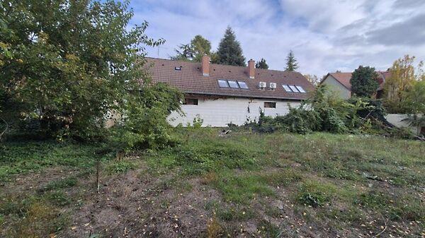 Jókai, Kecskemét képe