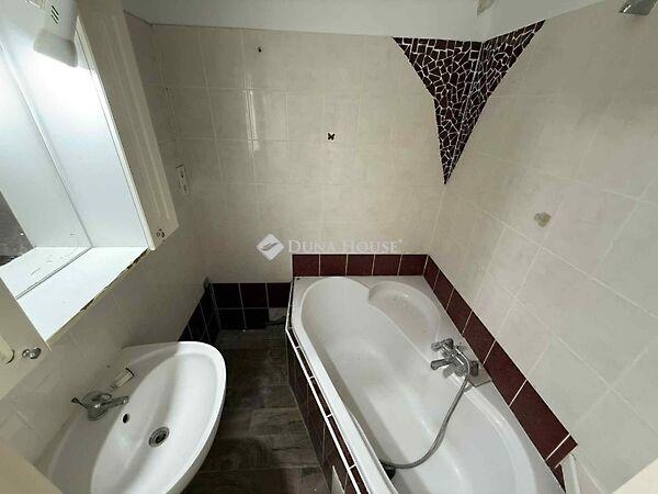 Petőfi Sándor, Kecskemét 3. képe