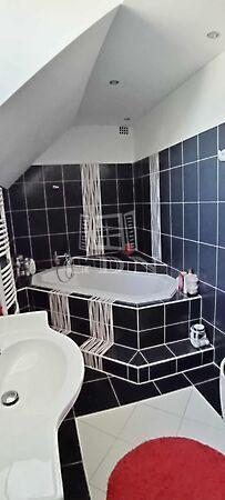 Liget, Baja 2. képe