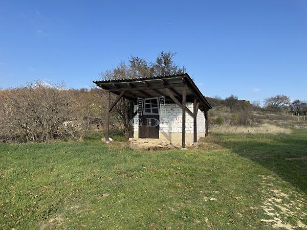 erdő, Csákvár 3. képe