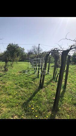 Zsibóti, Szigetvár 2. képe