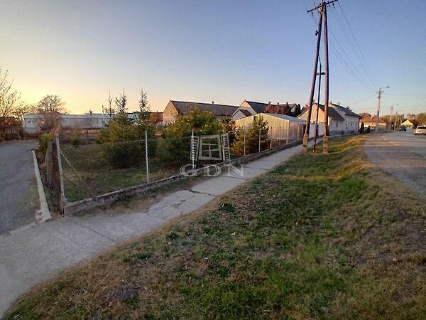 József Attila, Hajós 3. képe