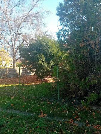 Somogyi, Gyomaendrőd 2. képe