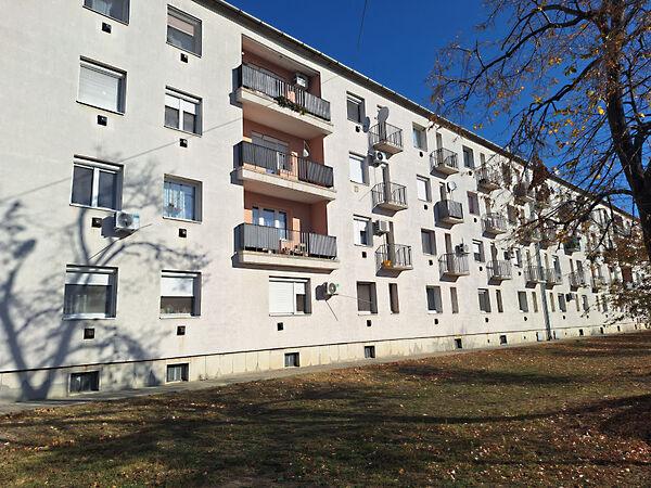 Szabadság, Hódmezővásárhely képe