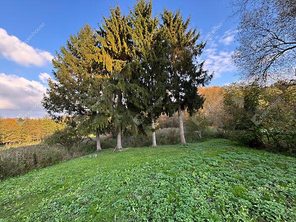 Babosdöbréte 2. képe