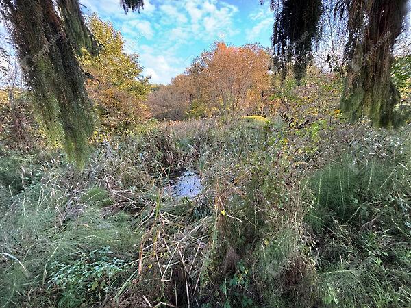 Babosdöbréte 3. képe