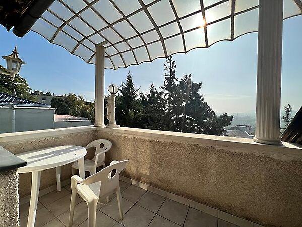 Tulipán, Budapest, II. kerület képe