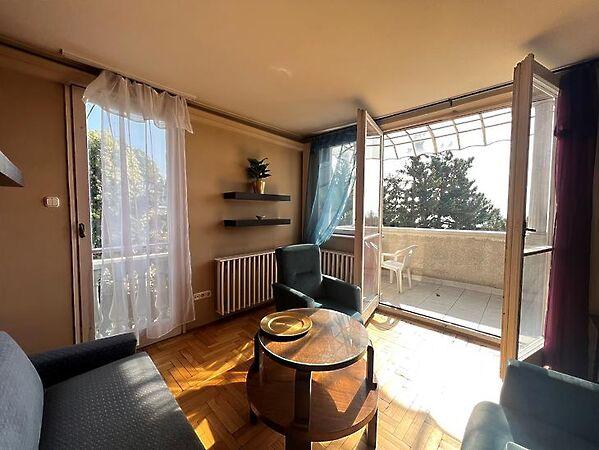 Tulipán, Budapest, II. kerület 2. képe