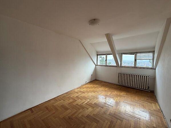 Tulipán, Budapest, II. kerület 3. képe