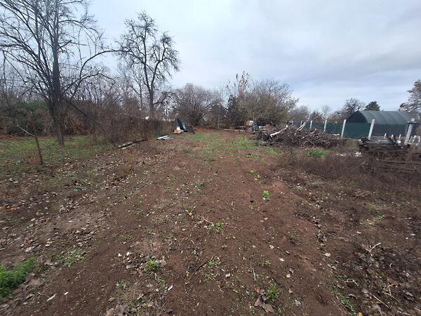 Virágos, Hódmezővásárhely képe