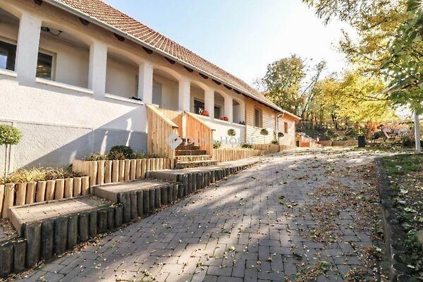 Kossuth, Bogád 3. képe