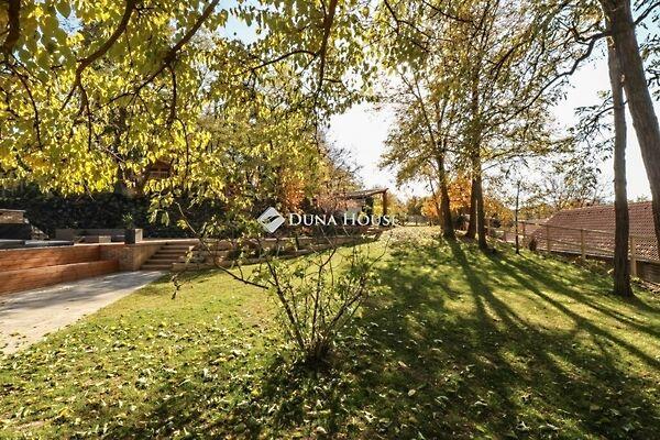 Kossuth, Bogád képe