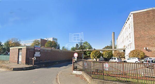 Rigó, Debrecen képe