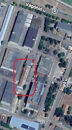 Rigó, Debrecen 2. képe