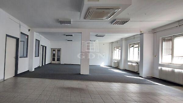 Rigó, Debrecen 3. képe