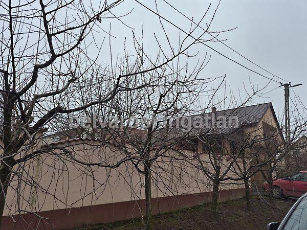 Fehérgyarmat 2. képe