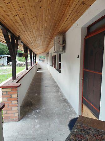 Égerfa, Ócsa 2. képe