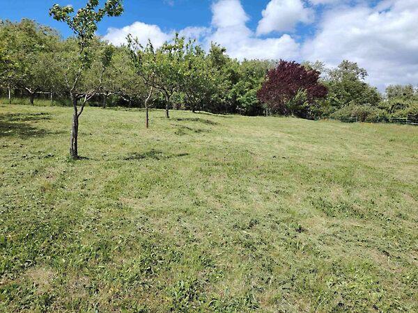 Zalaszentgrót 3. képe