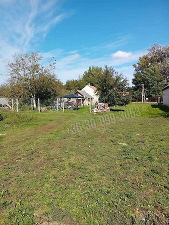 Doborgaz, Dunasziget képe