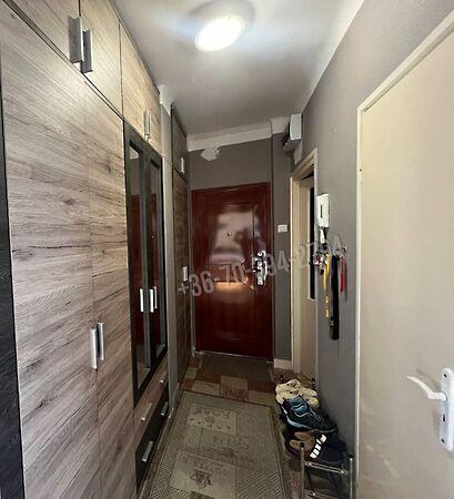 Vadász, Tatabánya 2. képe