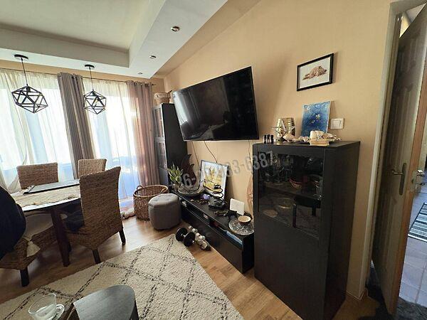 Pálffy, Győr képe