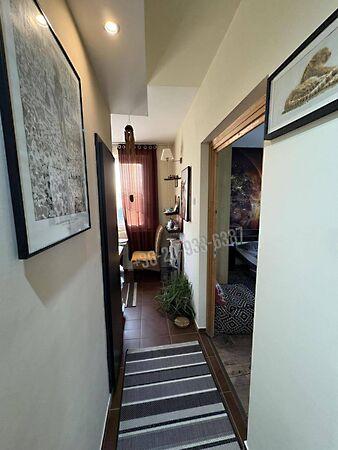 Pálffy, Győr 2. képe