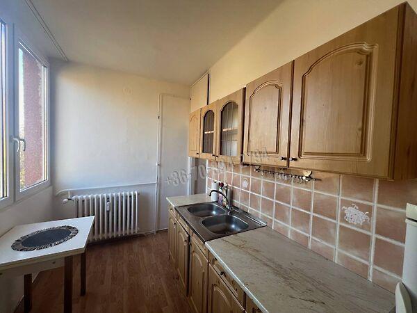 Vadász, Tatabánya 3. képe