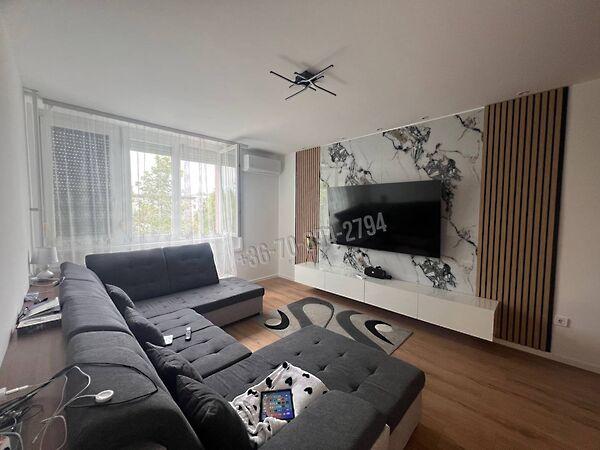 Dózsa György, Oroszlány képe