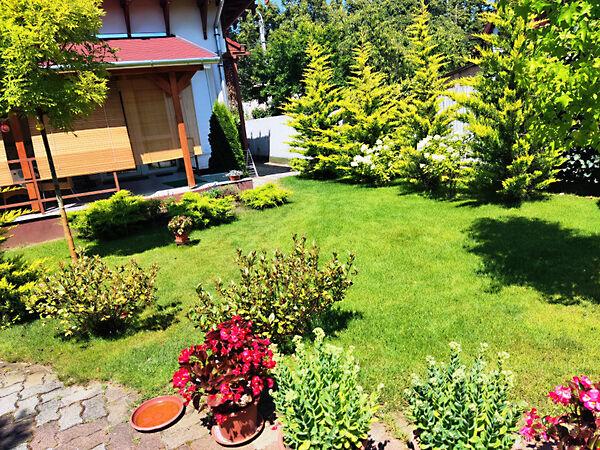 Akadémia, Debrecen 2. képe