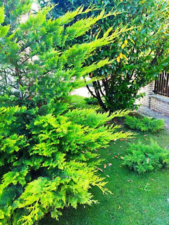 Akadémia, Debrecen 3. képe