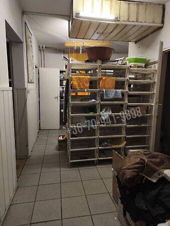 Dózsa György, Dunaújváros 2. képe