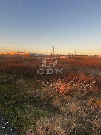 Jedlik Ányos, Ecser 2. képe