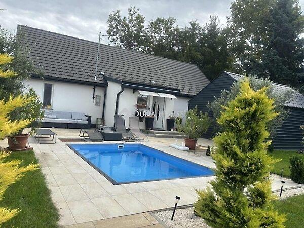 Damjanich, Pellérd 2. képe