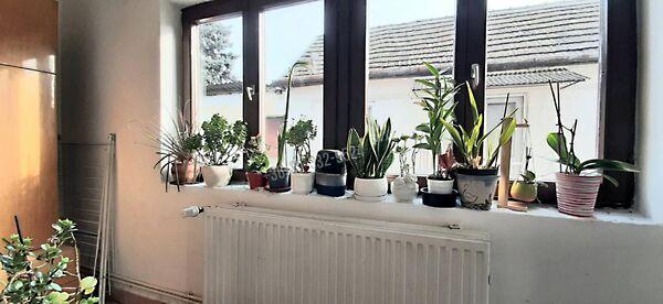 Dózsa György, Szob 2. képe