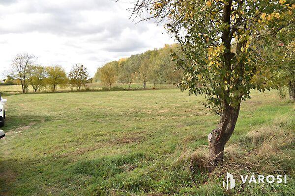 Gyula, Gyula 2. képe